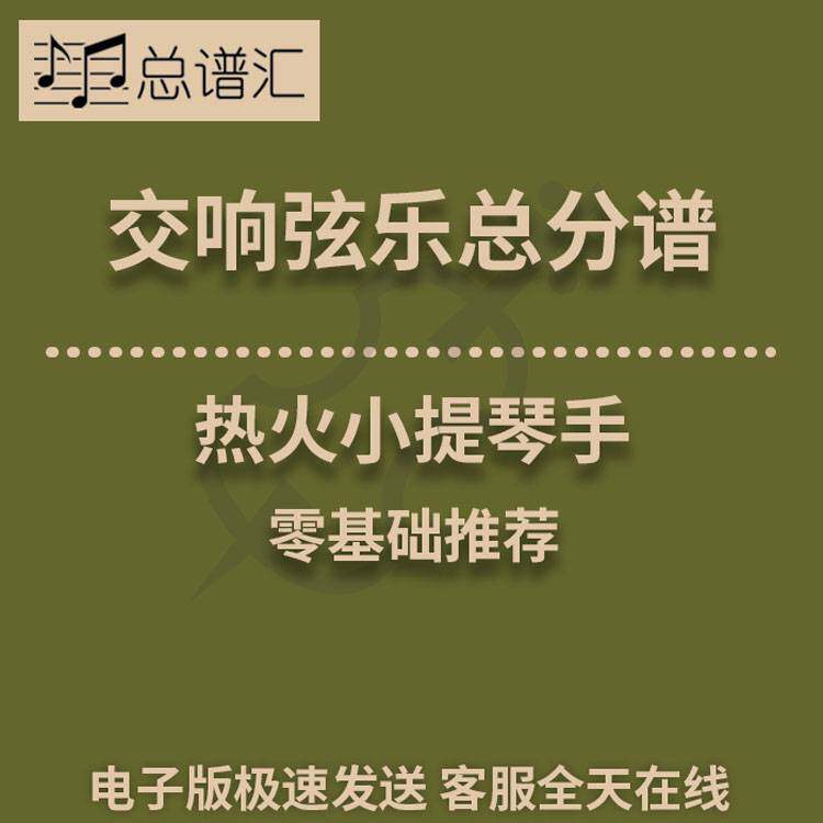 热火小提琴手 1级交响弦乐队 总分谱 MP3 (Fiddles on Fire)