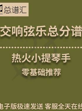 热火小提琴手 1级交响弦乐队 总分谱 MP3 （Fiddles on Fire）