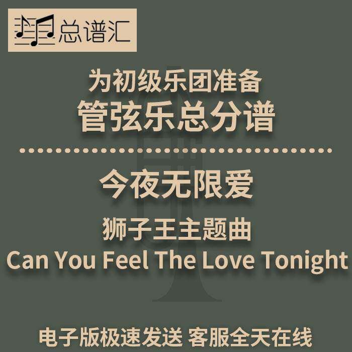 今夜无限爱 狮子王主题曲 2级 初级管弦乐 交响乐 总分谱 MP3