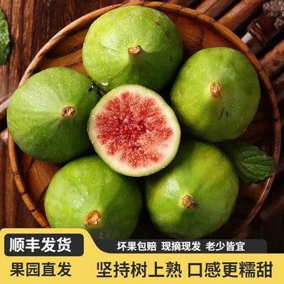 山东威海青皮无花果新鲜现摘直发