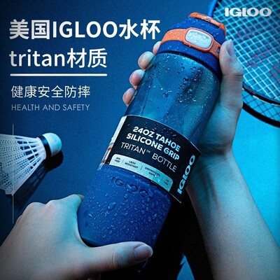 美国igloo易酷乐水杯轻奢新款