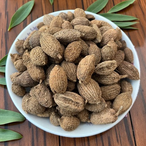 砂仁中药材沙仁香砂仁粉砂仁果泡水砂仁茶毛砂广西仁正品煲汤炖肉