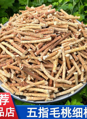 正宗五指毛桃根细根中段中药材土茯苓煲汤料包干货五爪龙500g广西