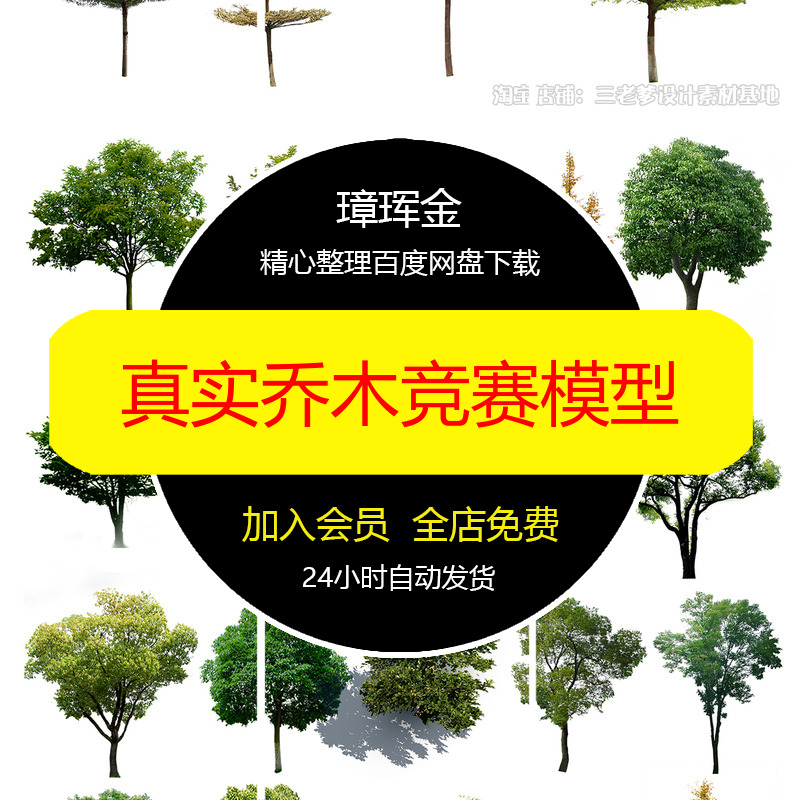 高清贴图秋季真实园林PNG竞赛免扣PS植物素材乔木景观模型zn04
