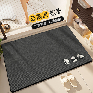 浴室地垫硅藻泥吸水速干脚垫卫生间门口垫厕所洗手台防滑耐脏地毯
