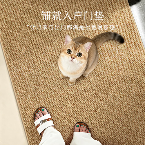 入户门地垫耐脏免洗客厅地毯