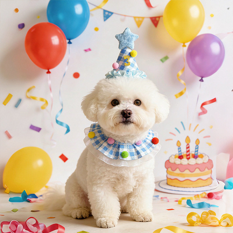 2026新款宠物狗生日套装猫咪帽子