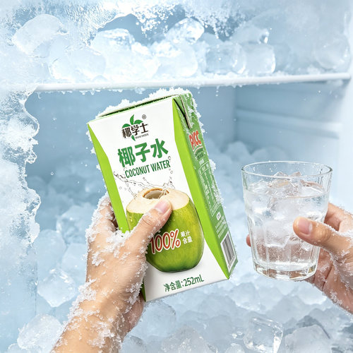 椰学士新品椰子水252ml10盒装家庭便携100%果汁含量饮料饮品箱