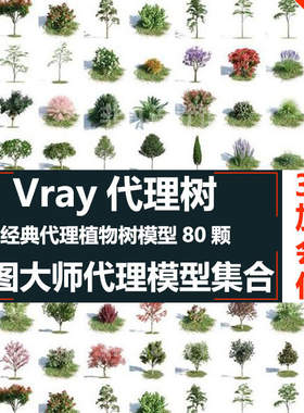 2D/树木vray代理树合集/su草图大师树木模型合集植物数代理模型库