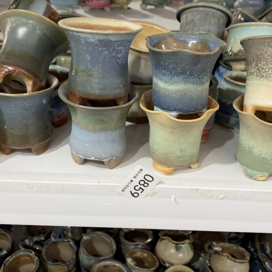 0859口径7,家居饰品,花盆,淘宝优惠券,粉丝福利购,淘宝优惠卷