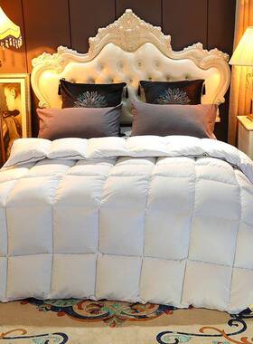 Hotel quilt Hilton duvet autumn winter warm 羽绒被芯冬被子