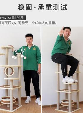 Climbing Pet Toy Cat Tree Scratcher Scratching Post House