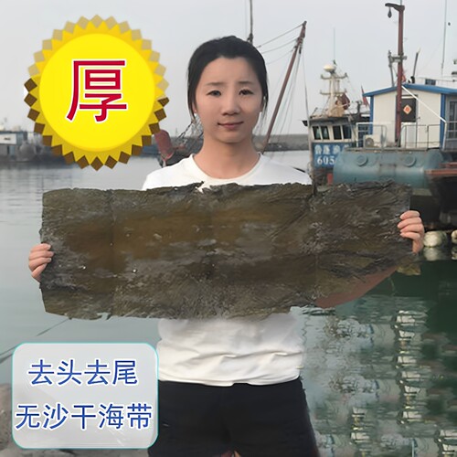 长岛天然厚海带干货干海带丝厚干货海带厚片非特级无沙500g