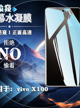 泰利蒙 适用vivoX100防窥水凝膜x100Pro手机贴膜V2309A屏幕防刮V2324A前后保护软膜vivi新款X1OO磨砂防指纹贴
