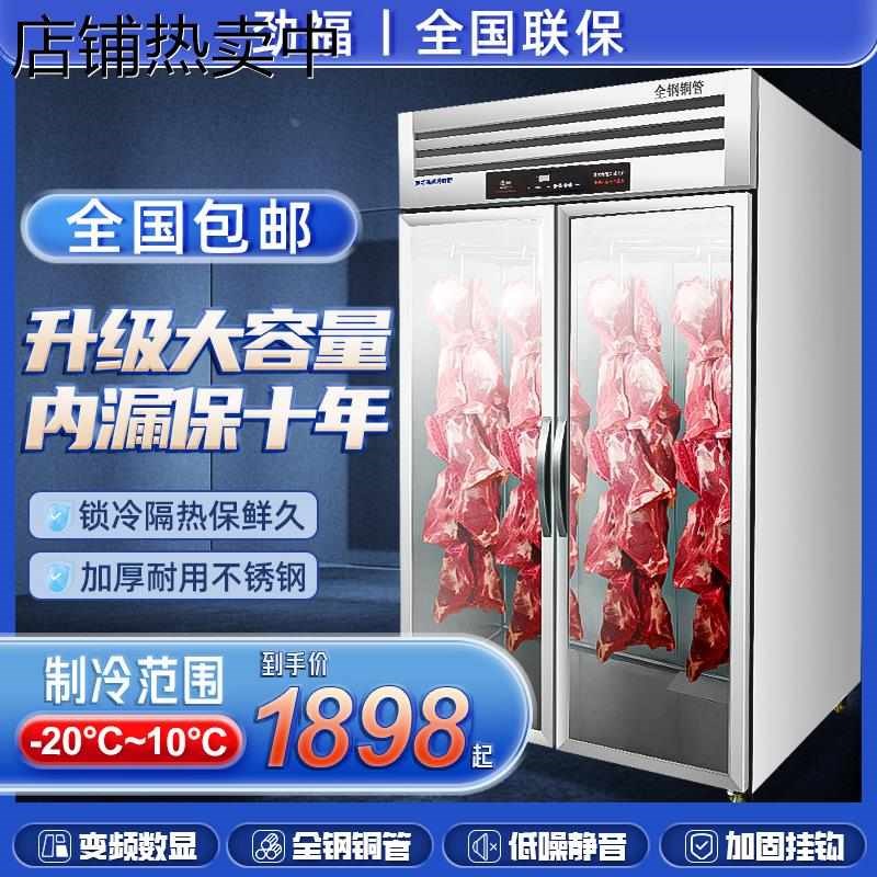 热销熟冷立式柜冷藏铜管新款柜柜鲜肉保鲜鲜肉冷冻柜肉成展示商用