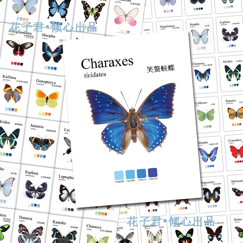126张蝴蝶图鉴贴纸蝴蝶种类介绍科普diy手账笔记本装饰防水贴画