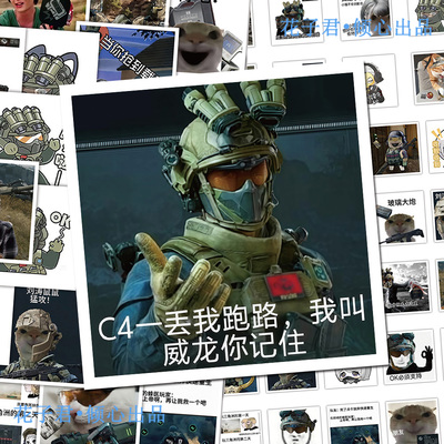 108张三角洲行动梗图表情包贴纸乌鲁鲁老太威龙沙雕恶搞发疯贴画