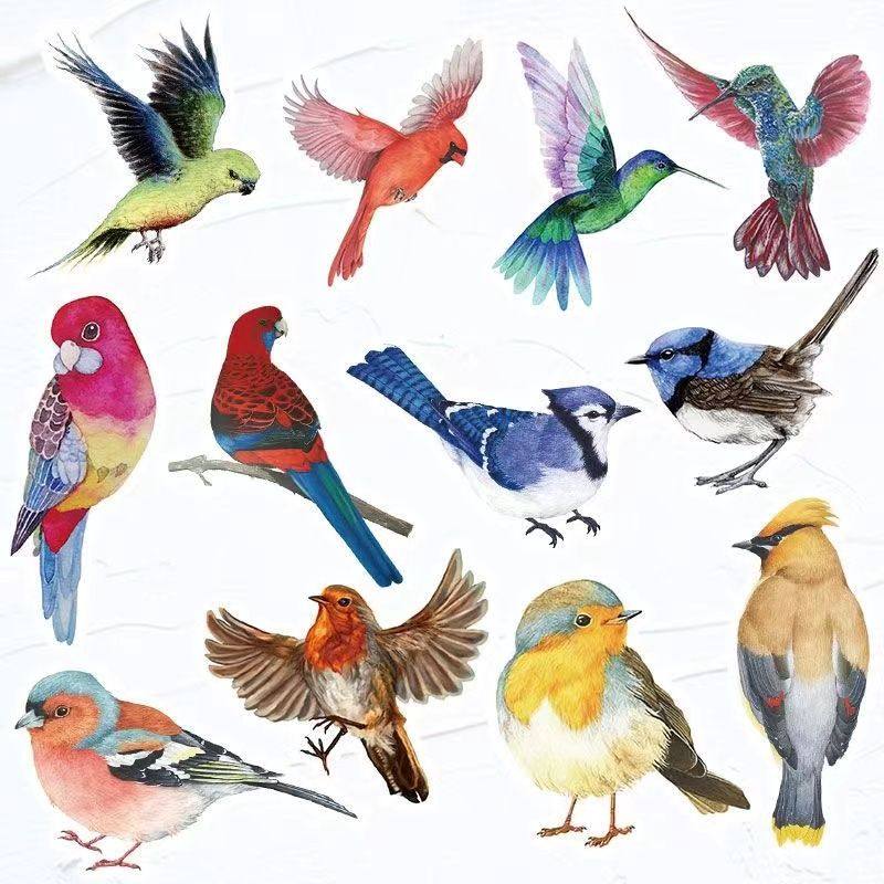 100张水墨风可爱小鸟合集贴纸喜鹊麻雀鸽子鹦鹉动物图案防水贴画