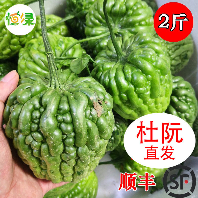 杜阮凉瓜新鲜食材广东肉厚无渣图片