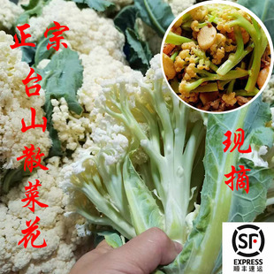 正宗台山散菜花都斟散花松花菜爽脆绿茎青梗新鲜现摘3斤广东包邮