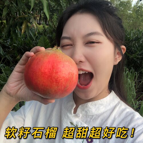 四川会理突尼斯软籽石榴 树上熟超甜汁水足 现摘现发  顺丰
