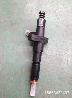 潍坊潍.柴华丰ZH4100D ZHAG 4102 ZH4105ZD 喷油器总成柴油机配件