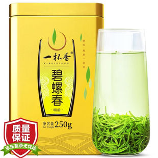 一杯香茶叶绿茶明前碧螺春250g礼盒装2025新茶苏州云雾茶毛尖散装