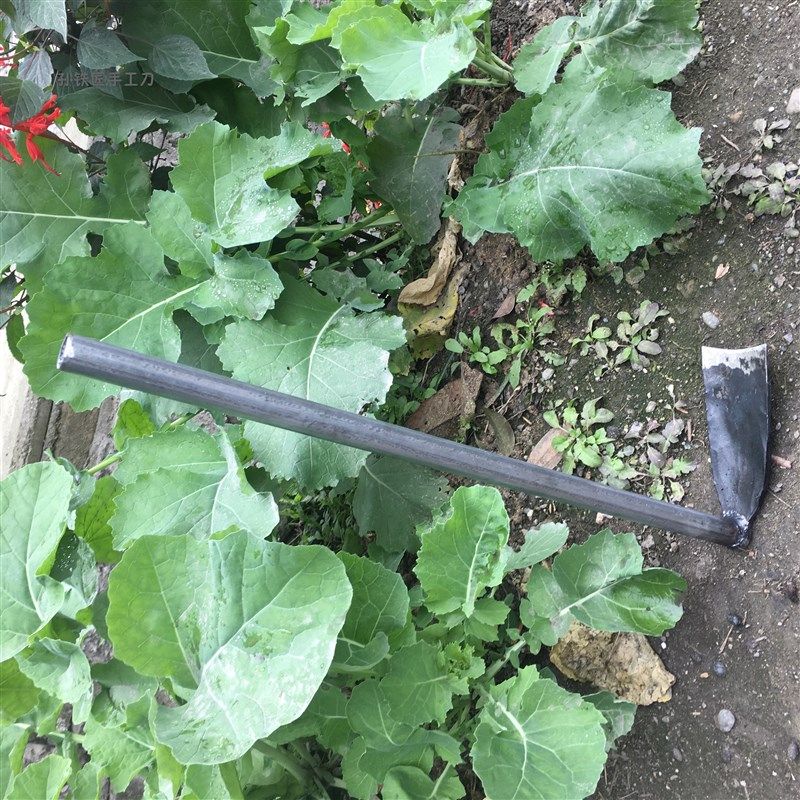 孙铁匠手工锻打园艺工具挖土种苗花锄小锄头花铲花锹园林绿化