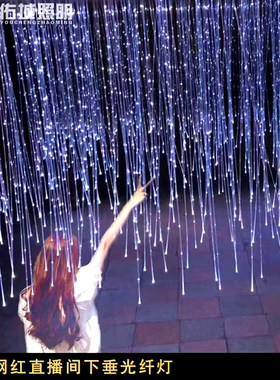 网红七彩导光丝光纤星空顶氛围灯