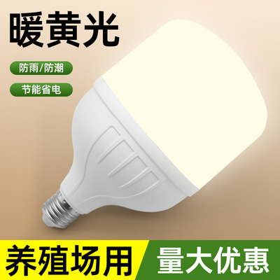 暖光LED球泡灯护眼e27螺口灯泡暖黄光无频闪节能灯室内照明光源