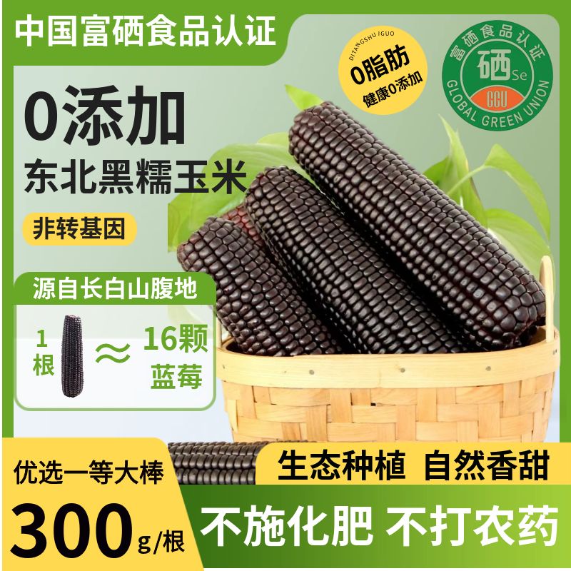 0脂非转基因东北糯玉米富硒0添加