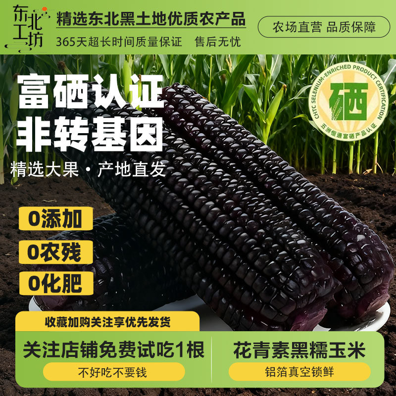 糯玉米新鲜正宗东北甜黑黄白糯玉米新鲜非转基因主食粘黏苞米整箱