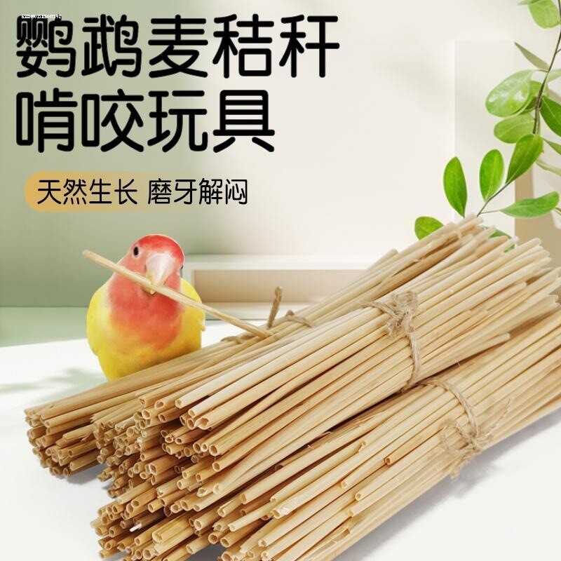 鹦鹉啃咬玩具天然麦秆小