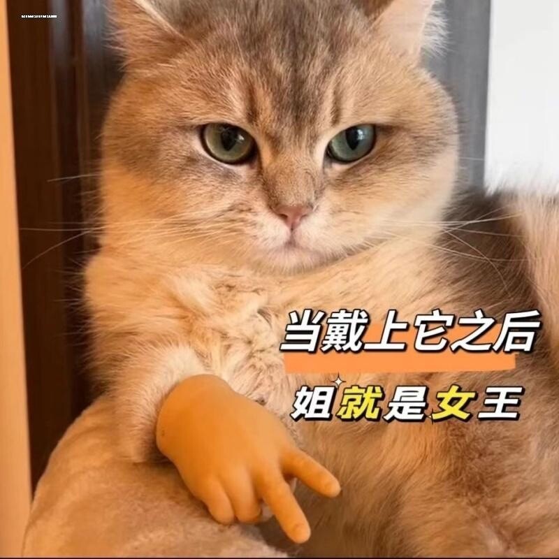 撸猫咪人手套比耶指套抖
