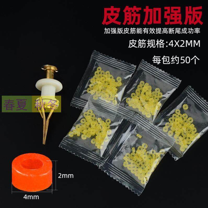 加强版柯基断尾器小狗泰