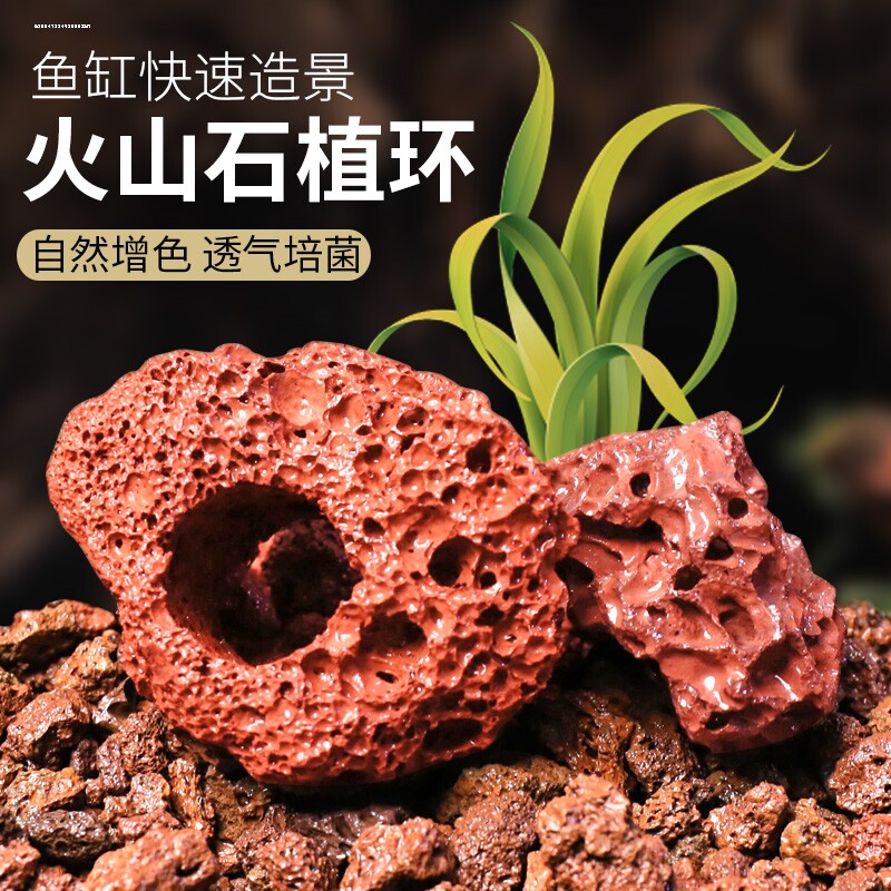 火山石定植水草固定神器