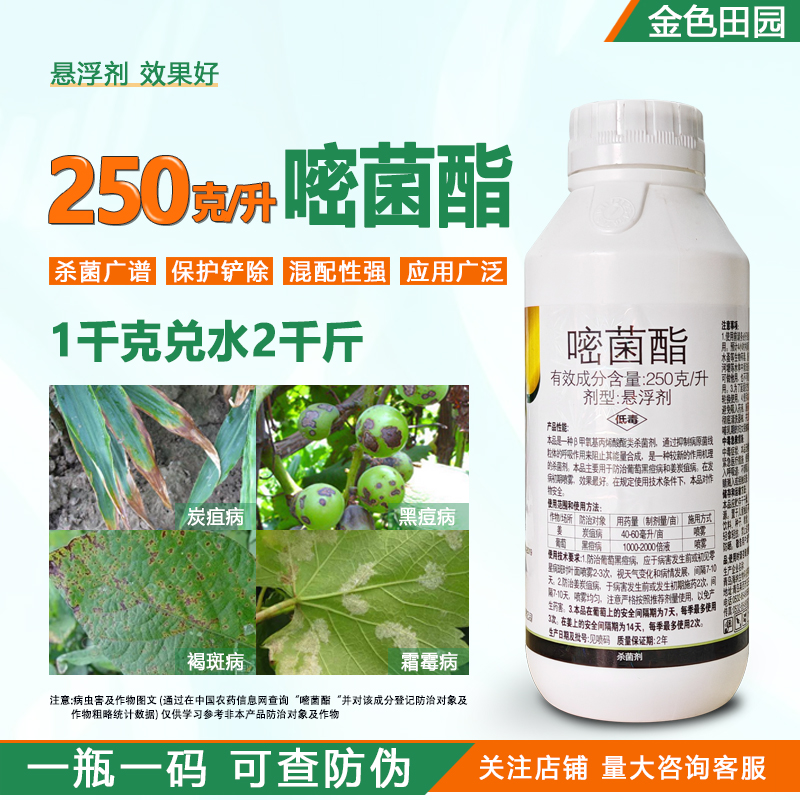 25%嘧菌脂嘧菌酯姜葡萄黑豆炭疽病密菌脂阿米秒收农用杀菌剂