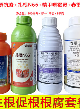 槟榔果蔬根腐病专用药春雷王铜精甲恶霉灵吲丁诱抗素扎根66组合药