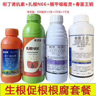 槟榔果蔬根腐病专用药春雷王铜精甲恶霉灵吲丁诱抗素扎根66组合药