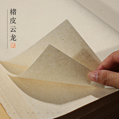 秋凝斋云龙本色楮皮古云龙皮纸七分熟半生半熟四尺六尺对开长纤维小楷书法绘画宣纸国画工笔画小楷毛笔作品纸