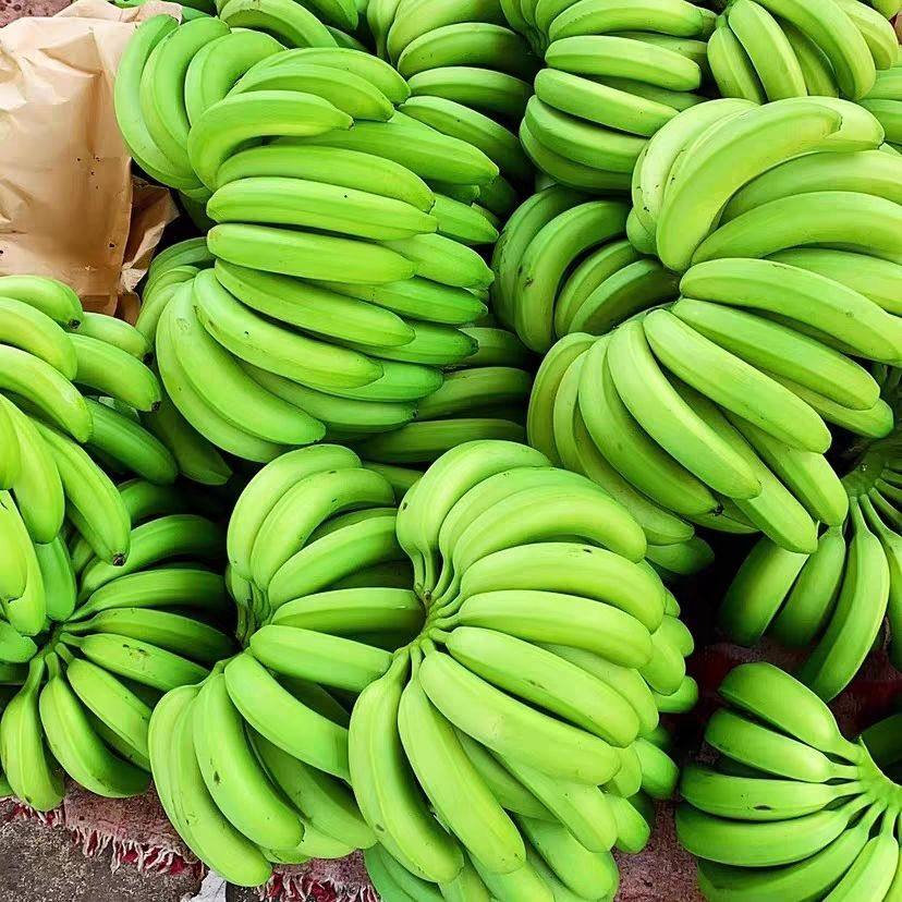 云南香蕉正宗新鲜青皮水果现摘薄皮整箱当季应季自然批发,水产肉类/新鲜蔬果/熟食,香蕉,淘宝优惠券,粉丝福利购,淘宝优惠卷