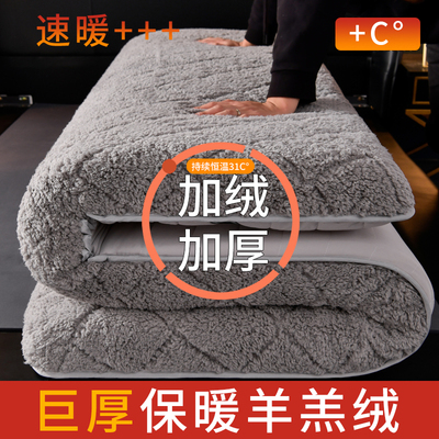 良年家用羊羔绒床垫加厚保暖软垫