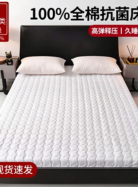 专业定制床垫60x70x160x170x190x200cm大豆全棉床褥垫榻榻米垫子