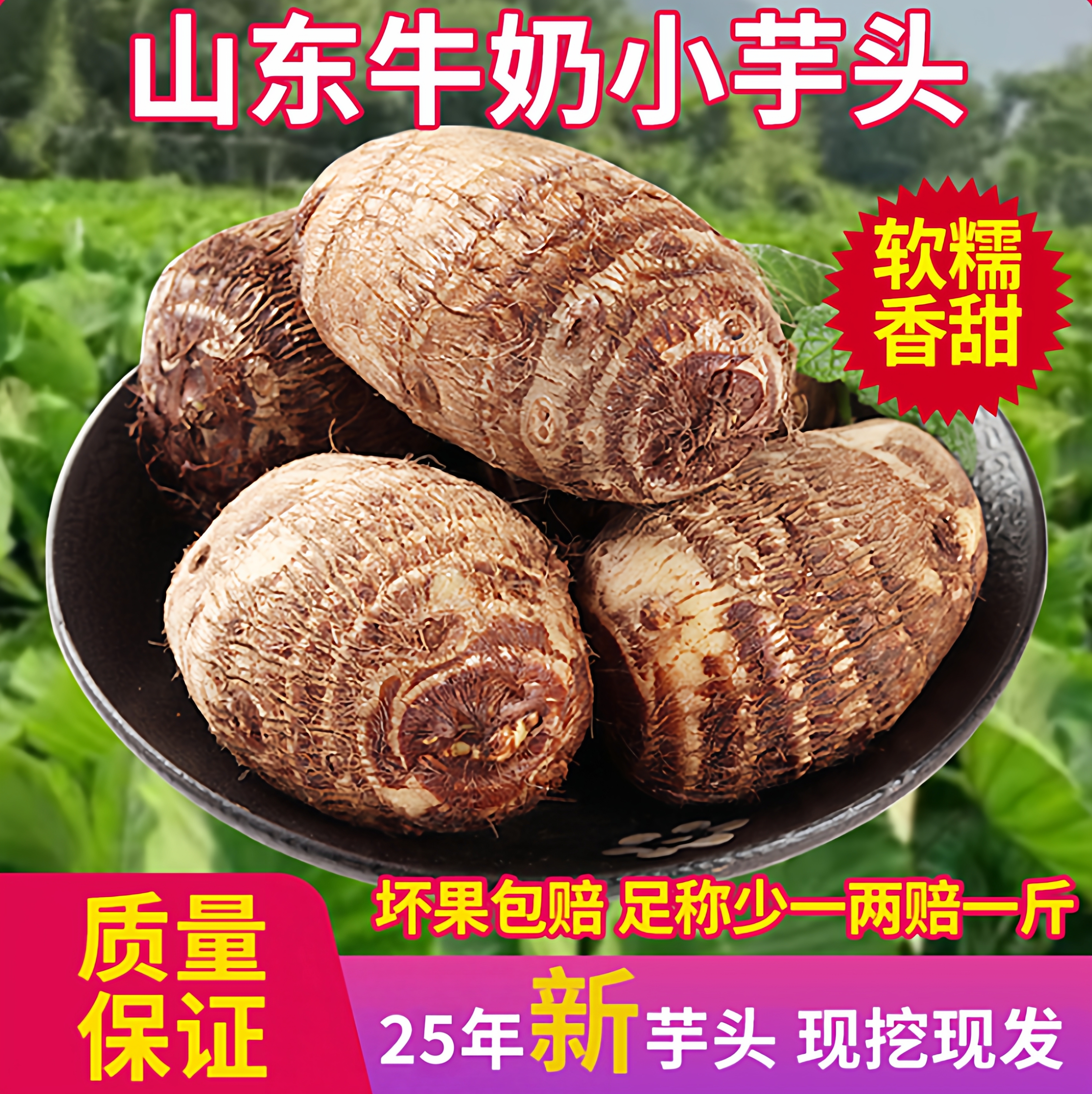 山东现挖现发奶小芋头孕妇煲汤