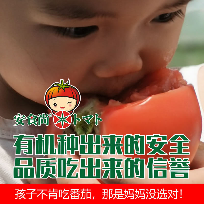 安食尚有机农场自然熟粉沙瓤新鲜番茄孕妇放心吃10枚168精品果盒
