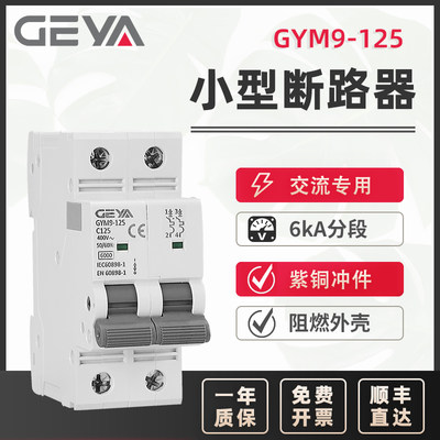 GEYA格亚 家用交流小型断路器80A100A125A 1-4P空气开关 GYM9-125