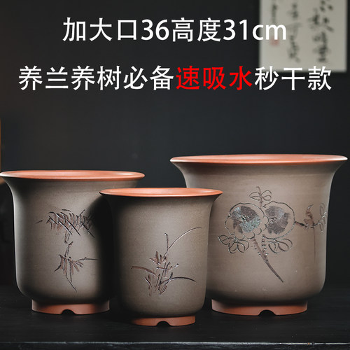 紫砂吸水速干款兰花君子兰种树盆