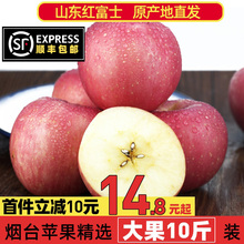 烟台红富士苹果栖霞水果10十脆甜斤山东应季带箱新鲜当季整箱平果