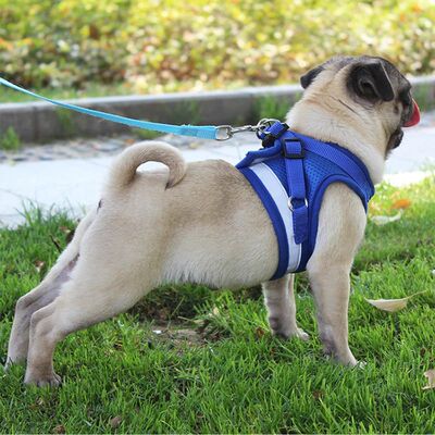 Mesh Dog Harness Leash Set for Small Pet Dogs Puppy Pug Bull