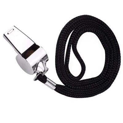 2 Pack Stainless Steel Sports Whistles with Lanyard, Loud Cr